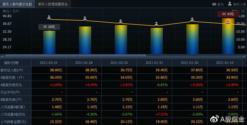 長安汽車（601633） 軟件驅(qū)動下的機遇與風(fēng)險分析